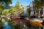 Netherlands (Holland): NL: Domain Registration