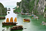 Vietnam: VN: Domain Registration
